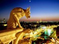 /album/parigi-lione-e-versailles/notredame-gargoyle-jpg/